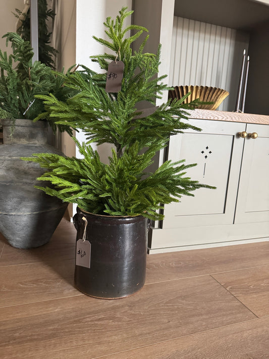 Artificial Norfolk Tree - 3 ft