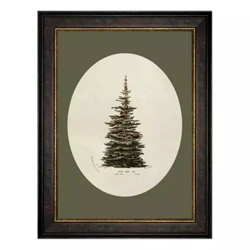Oval Matte Tree 14x18 - APPROX SHIPMENT WEEK OF 11/24