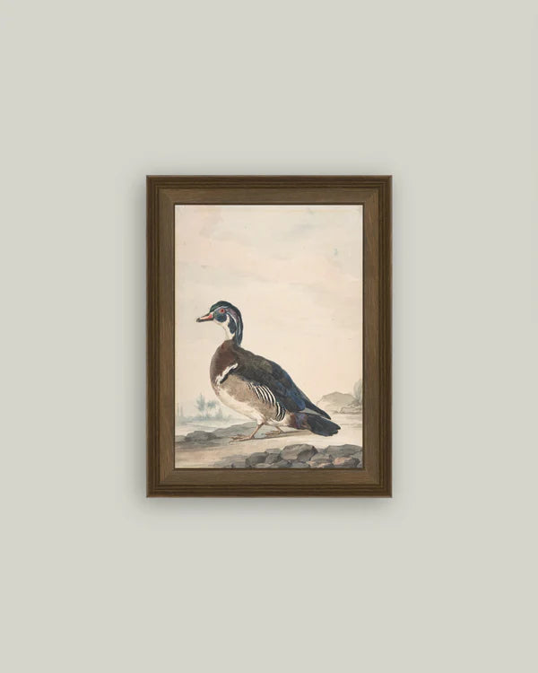 A Duck Art 12x16