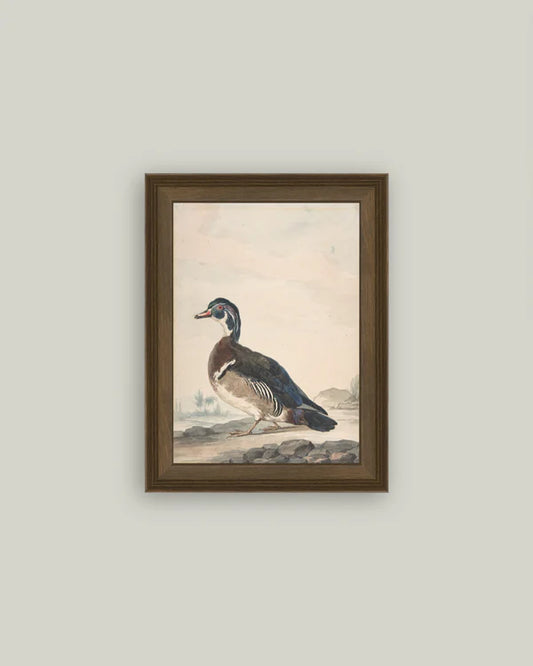 A Duck Art 12x16