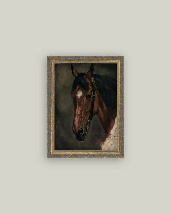 Horse Portrait Art 12x16