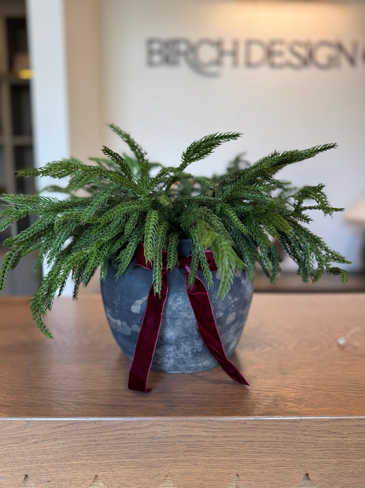 Vintage Cunmin Pot Arrangement