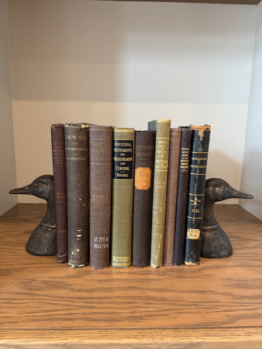 Duck Bookends