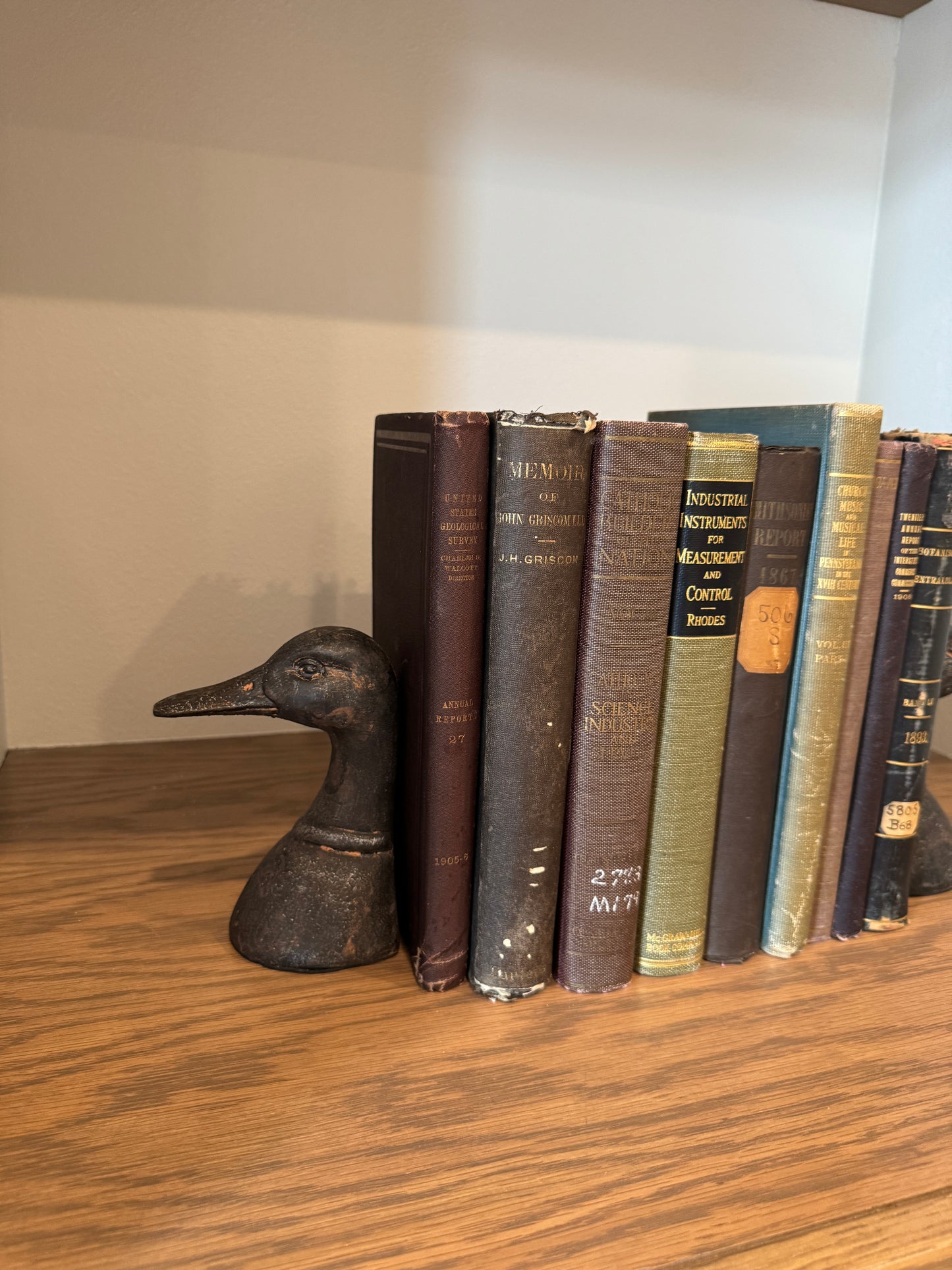 Duck Bookends