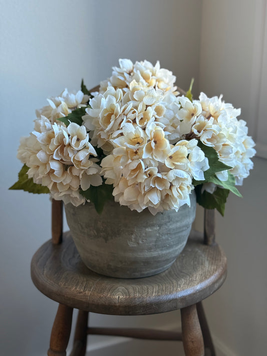 Hydrangea Morning Mist Stem