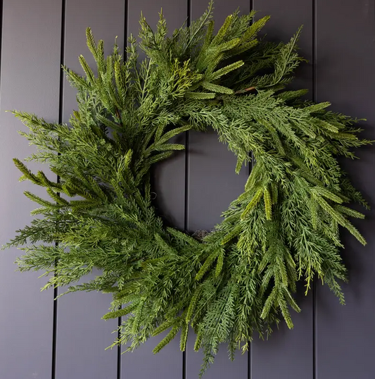 Norfolk and Cypress Wreath 24"