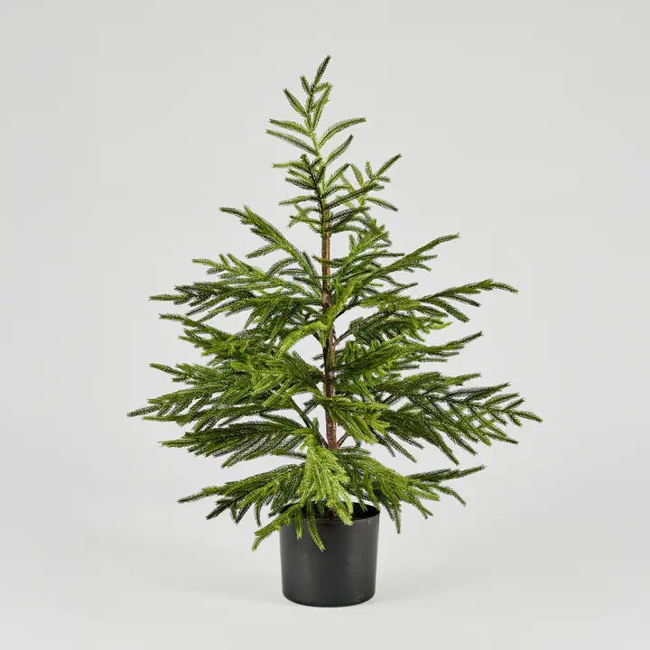 Artificial Norfolk Tree - 3 ft
