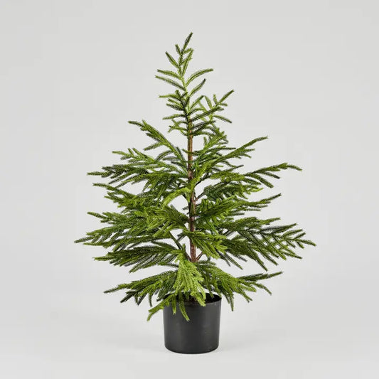 Artificial Norfolk Tree - 3 ft
